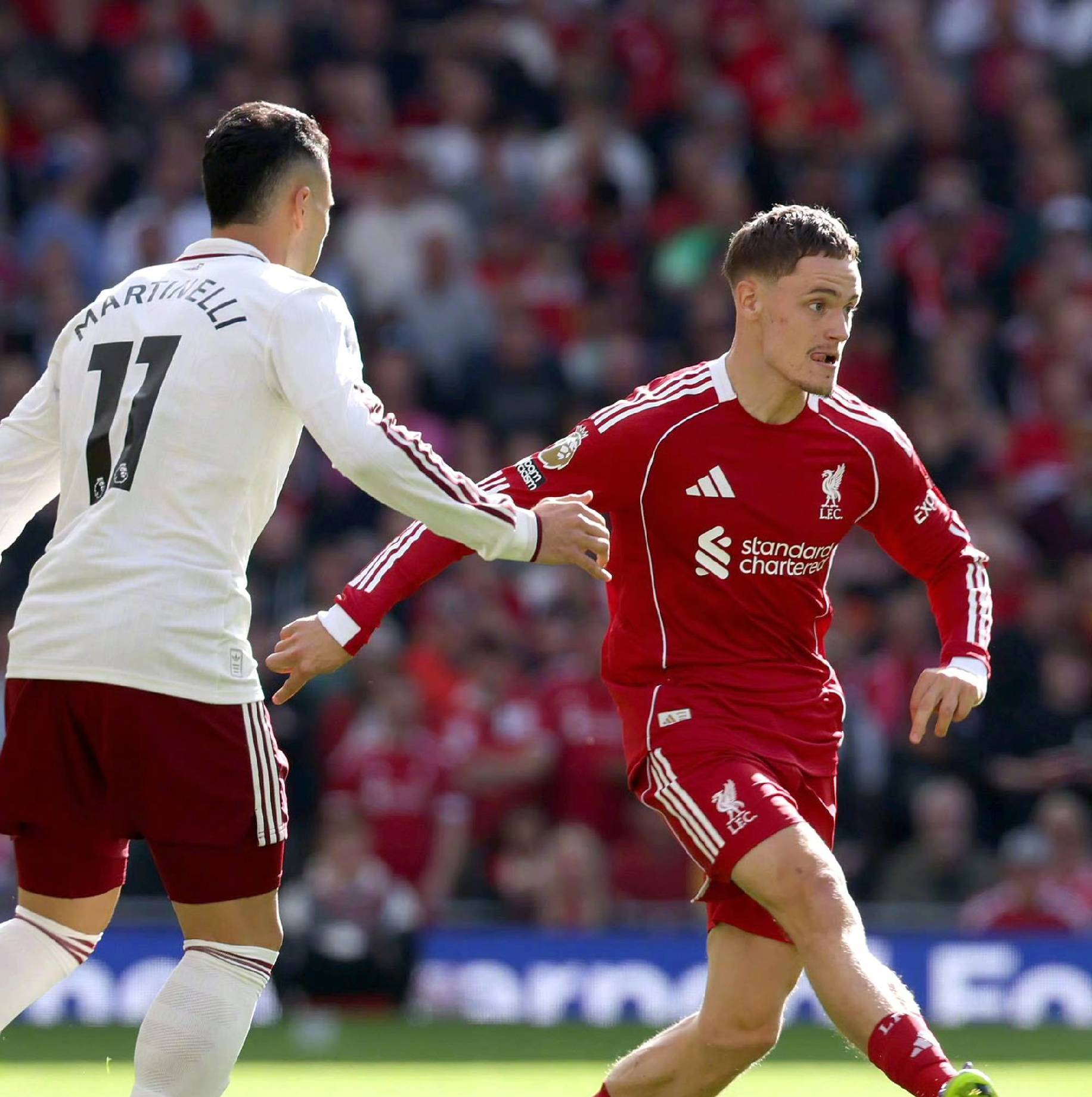 而非单纯的 而非单纯的